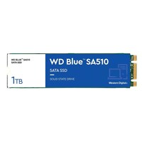 WESTERN DIGITAL Blue SA510 1TB M.2 SATA SSD WDS100T3B0B
